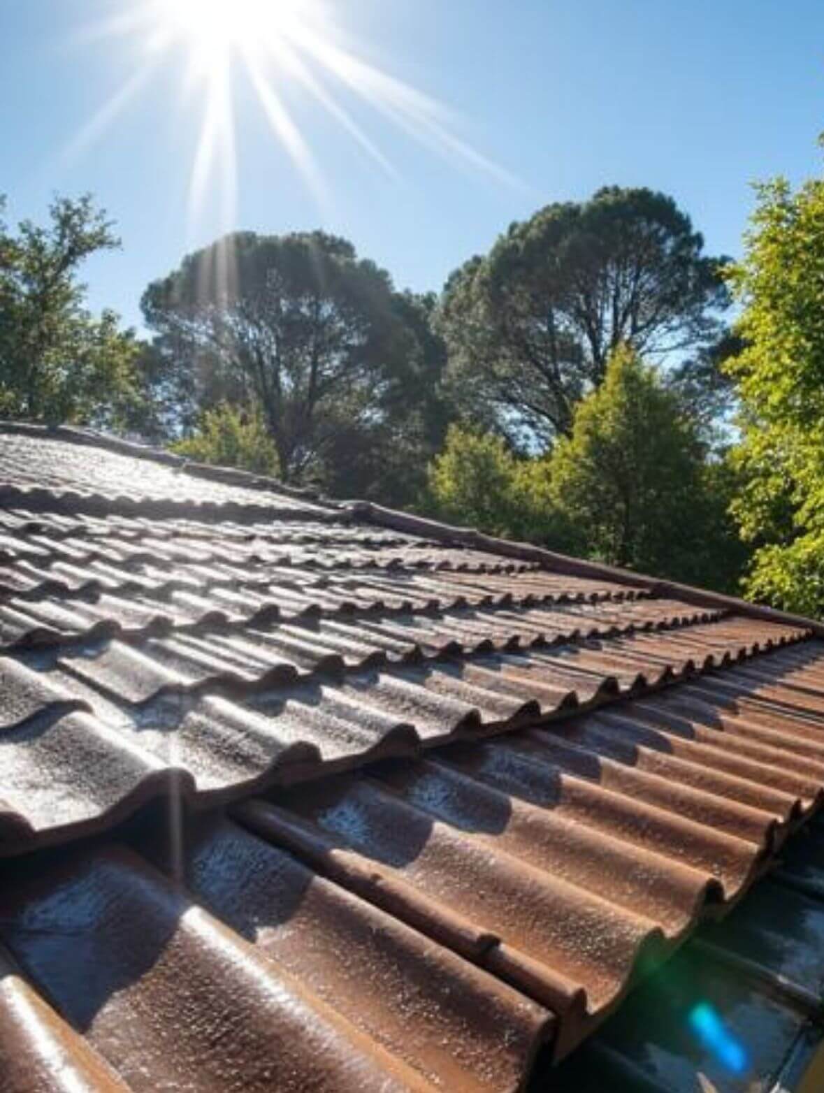 clean roof tiles