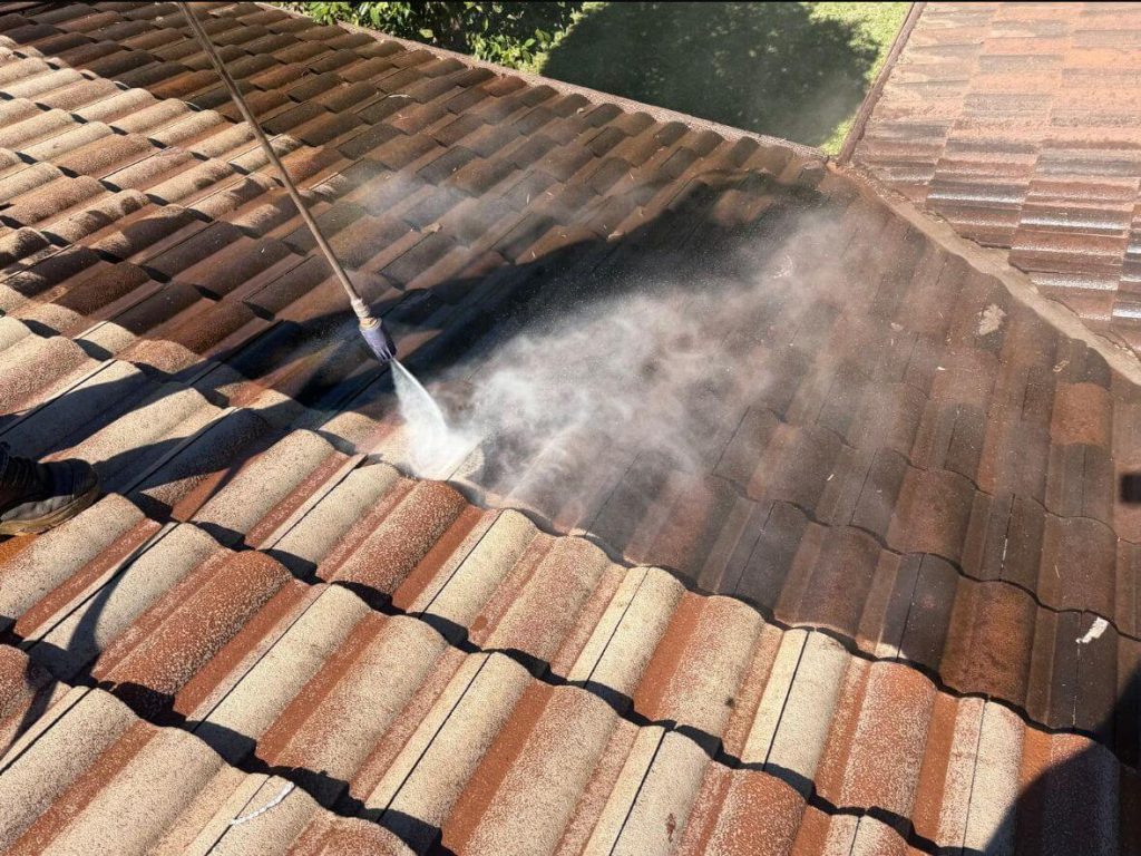 roof washing sydney